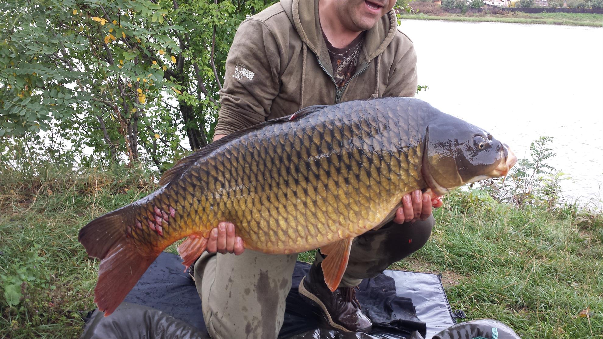 Peris 2013 - 2013-09-14-095359.jpg